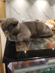 -小蜜蜂农场(凯德七宝购物广场店)