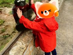 -昆明动物园