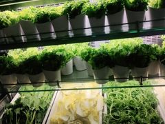 -钱小奴创意自助餐厅·原切谷饲安格斯畅吃(宁波慈溪爱琴海店)