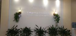 点击看大图 -碧莲盛·不剃发植发