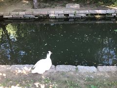 -春风习习