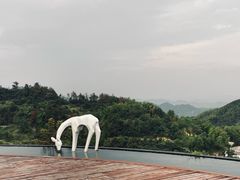 -长沙黑麋峰国家森林公园