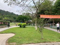 -火炉山森林公园