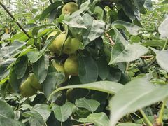 -美家乐农庄·露营·团建(大治路店)