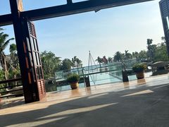 -亚龙湾喜来登·美景台大堂吧