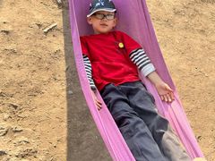 -东方巨龟苑景区