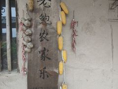 -老鲍农家乐