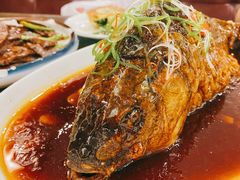罾蹦鲤鱼-津菜宋记老房子(鼓楼店)