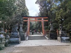 -奈良公园
