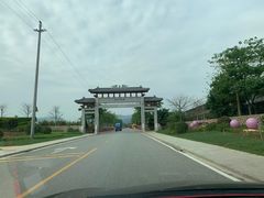 -天适樱花悠乐园
