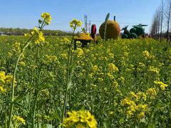 -兰陵国家农业公园