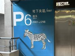 -虹桥综合交通枢纽-P6停车库