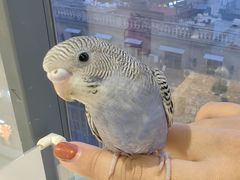 -怪兽屋·羊驼·猫咖·狗咖(俊华广场店)