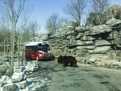 -北京野生动物园