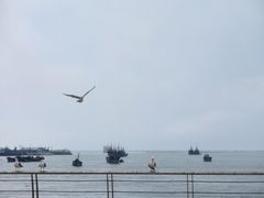 -烟墩角天鹅湖