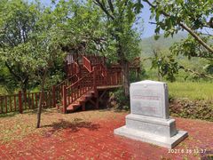 -阳台山自然风景区