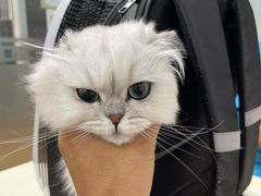 -宠颐生中康贝怡动物医院