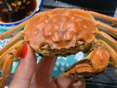 -蟹天蟹地农家菜·阳澄湖大闸蟹(浅水湾店)