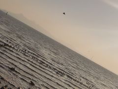 -深圳湾公园(南山区)