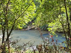 -广州白江湖森林公园