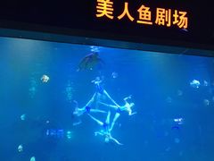 -福州罗源湾海洋世界旅游区