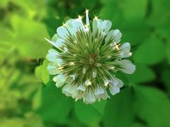 -洋湖国家湿地公园