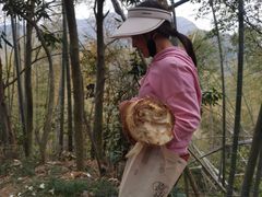 -径山寺