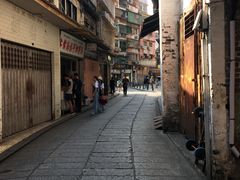 -洪馨椰子