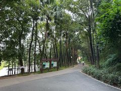 -三水森林公园