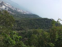 -麦当劳(金稻田路餐)