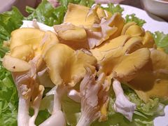 -老福耶小草帽石锅鱼(奥体店)