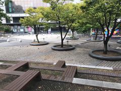 -梨大女人街