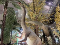 -湖南省地质博物馆