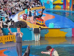 -海合安武汉极地海洋公园