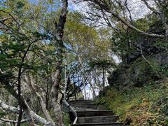 -白草畔自然风景区