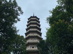 -灵谷景区
