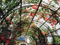 -The Grounds of Alexandria
