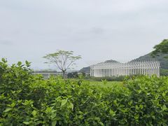 -风云岭森林公园