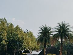 -清迈夜间动物园