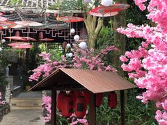 -海口观澜湖火山温泉谷