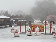 -少华山国家森林公园