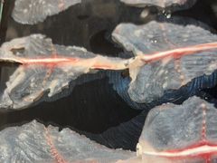 -京门活鱼馆·鱼火锅(百子湾（原红庙）店)