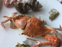 -海味当家·蒸锅海鲜(星海公园店)