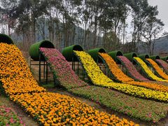 -广州市石门国家森林公园