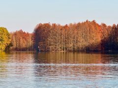 -上海海湾国家森林公园