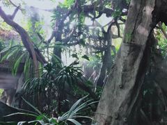 -青青世界