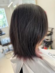 -SALON DE VANHADA