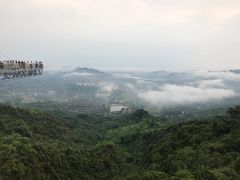 -呀诺达热带雨林