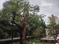 -苏州文庙(姑苏区)