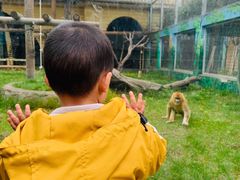 景点-西安秦岭野生动物园